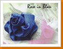 Rose en Bleu