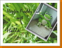 Freddy der Frosch